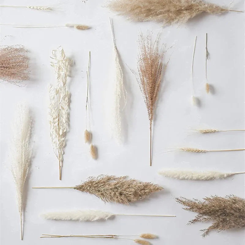 Serene Meadows Floral Collection