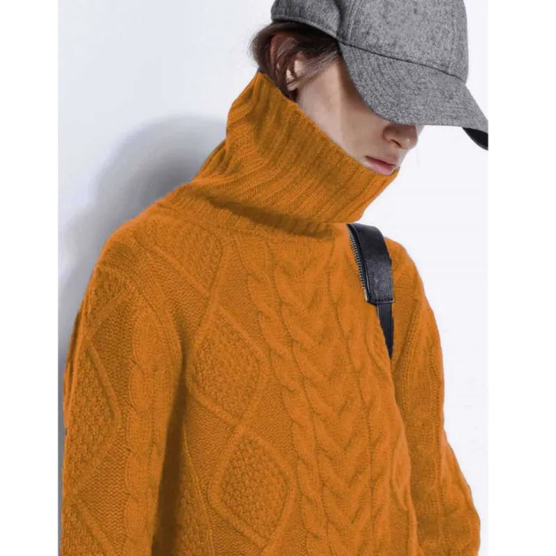 Ardente Turtleneck Sweater